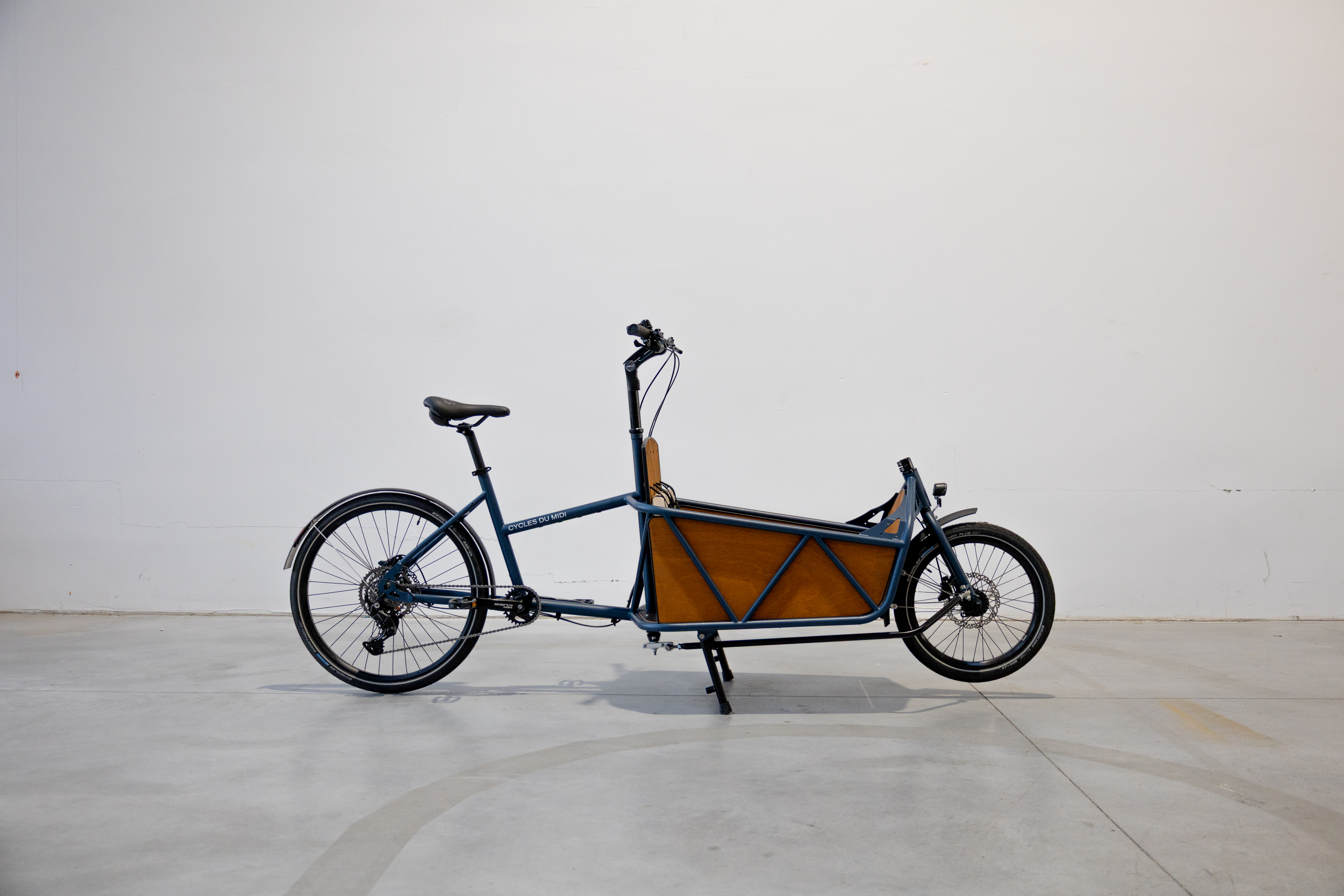 Electric cargo bike